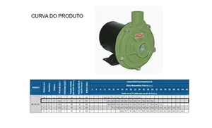 Bomba Schneider Monoestágio BC-92S 1C 1cv Trifásico 220/380v