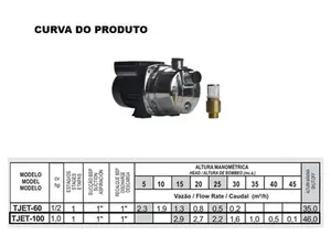 Bomba Thebe Autoaspirante TJET-100 1cv Monofásico 127/220v