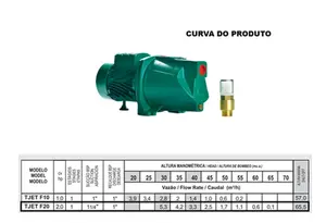 Bomba Thebe Autoaspirante TJET F20 2cv Monofásico 127/220v