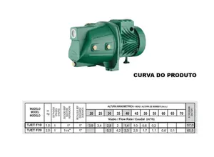 Bomba Thebe Autoaspirante TJET F10 1cv Monofásico 127/220v