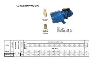 Bomba Eletroplas Autoaspirante EAP-100B  1cv Monofásico 127/220v