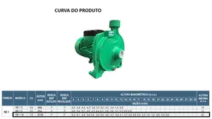 Bomba WDM Monoestágio RE 1 1cv Monofásico 127/220v