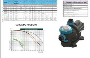 Bomba Para Piscina Sodramar BM 33 1/3cv Monofásico 127/220v