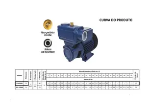 Bomba Eletroplas Periférica Autoaspirante ICA-50AB 1/2cv Monofásico 127/220v
