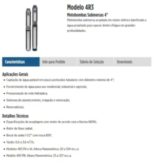 Bomba Leão Sub 4