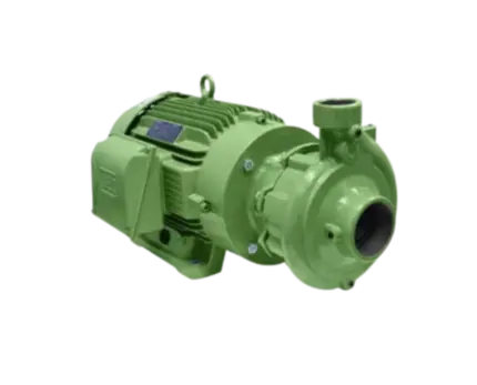 Bomba Schneider Serie FIT 080-050-200 R206 5cv 4P Trifásica 4 Voltagens