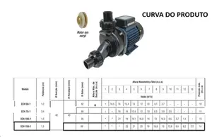 Bomba Eletrolpas Hidromassagem ECH-150I-1 1,5cv Monofásico 220V