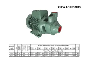 Bomba Thebe Periférica TP-60 1/2cv Monofásico 127/220V