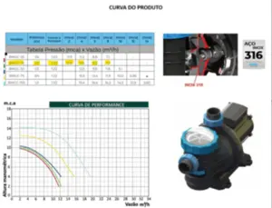 Bomba Para Piscina Sodramar BMGC-33 1/3cv Monofásico 127/220V Com Eixo e Selo Mecânico Aço INOX